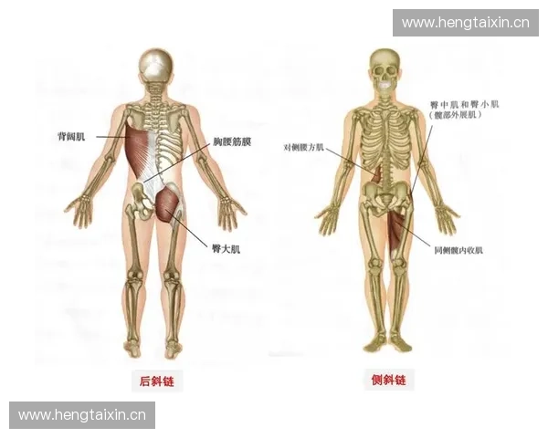 全面提升运动表现的系统化肌肉活化训练策略与实践方法深度解析